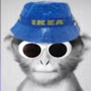 Meet your Posher, Hazzy